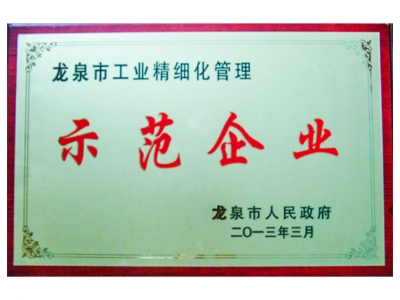 龍泉市工業精細化管理示范企業