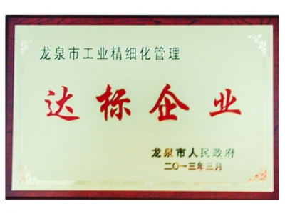 龍泉市工業精細化管理達標企業
