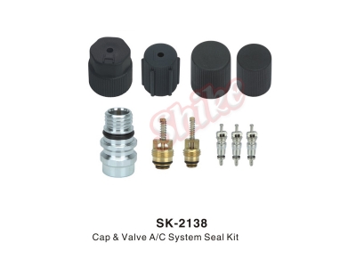 SK-2138