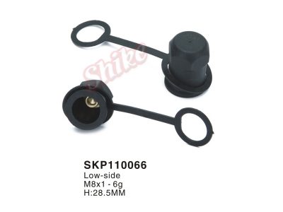 SKP110066